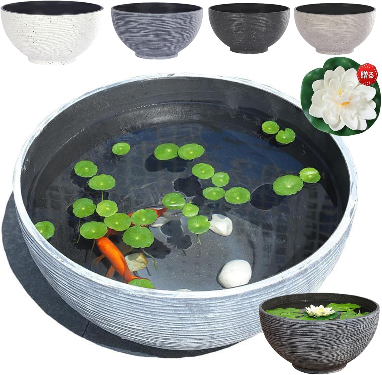 睡蓮鉢、メダカ、金魚の飼育用、水草の栽培等