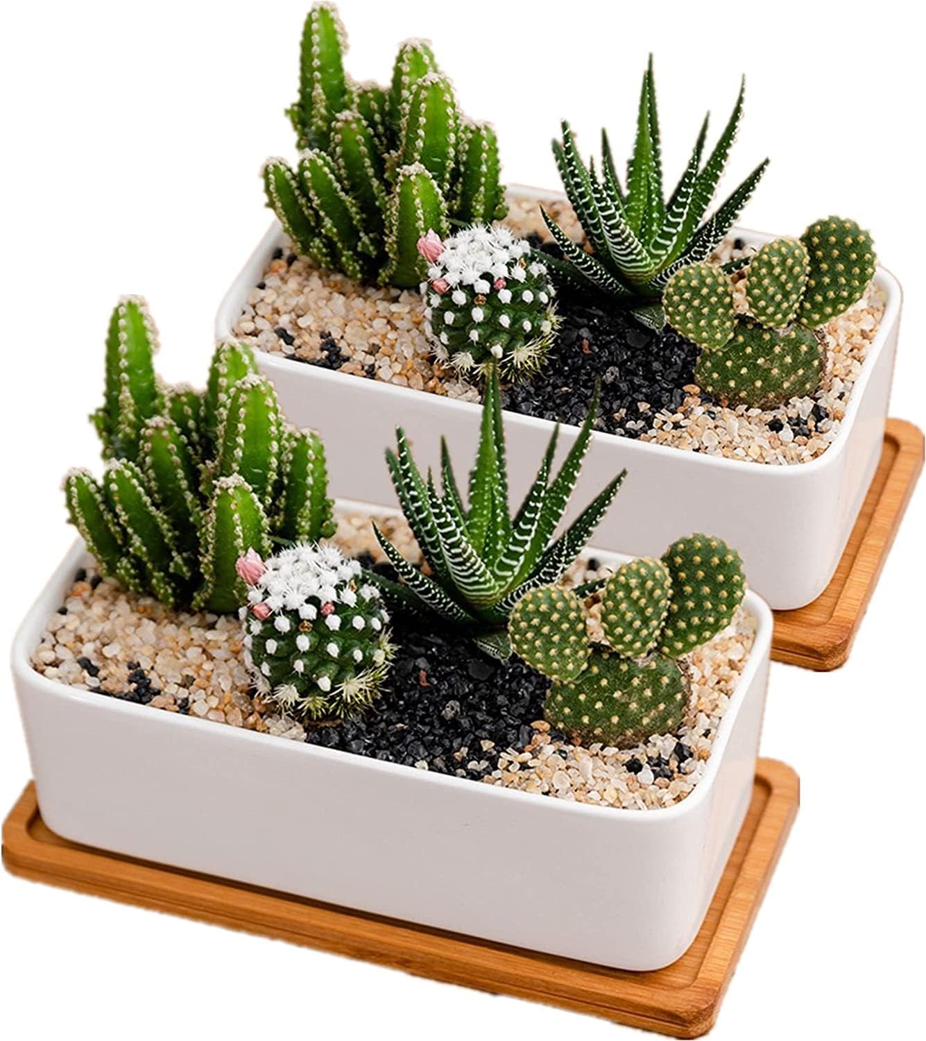Succulent Pots with Bamboo Tray Cactus Pots Containers for Succulents