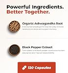 Nutratology® Organic Ashwagandha | Canadian-Made | Increases Resistance To Stress & Supports Memory Enhancement - With Black Pepper For Enhanced Absorption | 650MG Ashwagandha Per Capsule - 120 Count