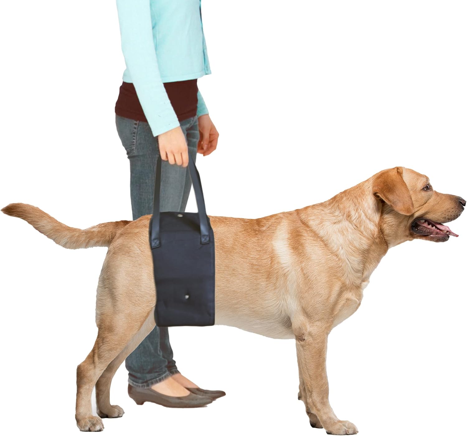 Fuzzy Friends Dog Lift Harness. Veterinarian Approved Dog Sling for Medium Dogs hind Leg Support and Comfort Handles for You. Great Lift…