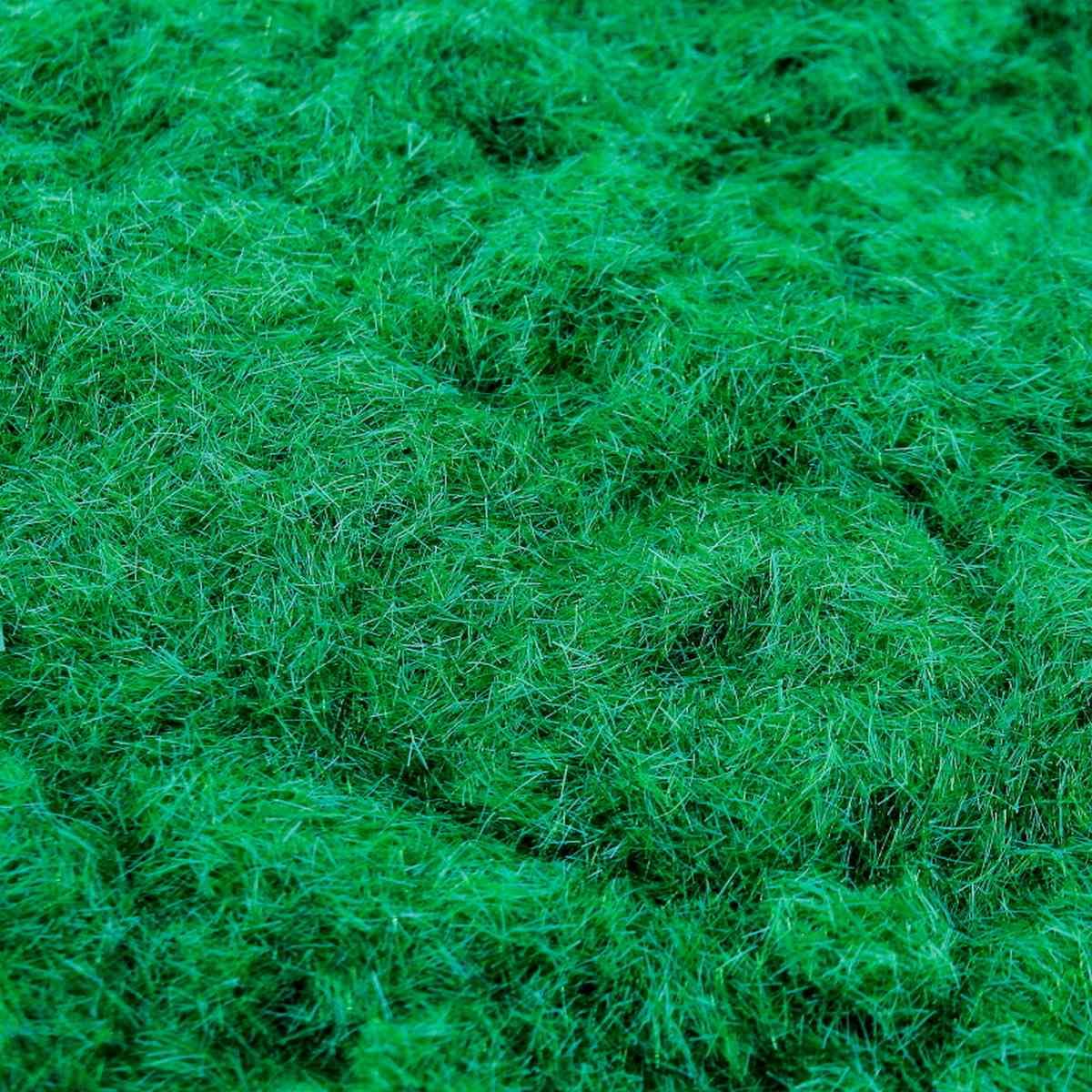 Aadya Crafts Artificial Moss Garden Grass Powder Green Shade Fake Grass 1Kg Packet for Miniature Tree Snow Micro Garden Landscaping Decoration Craft DIY Accessories, for Decorating The Balcony-image-7