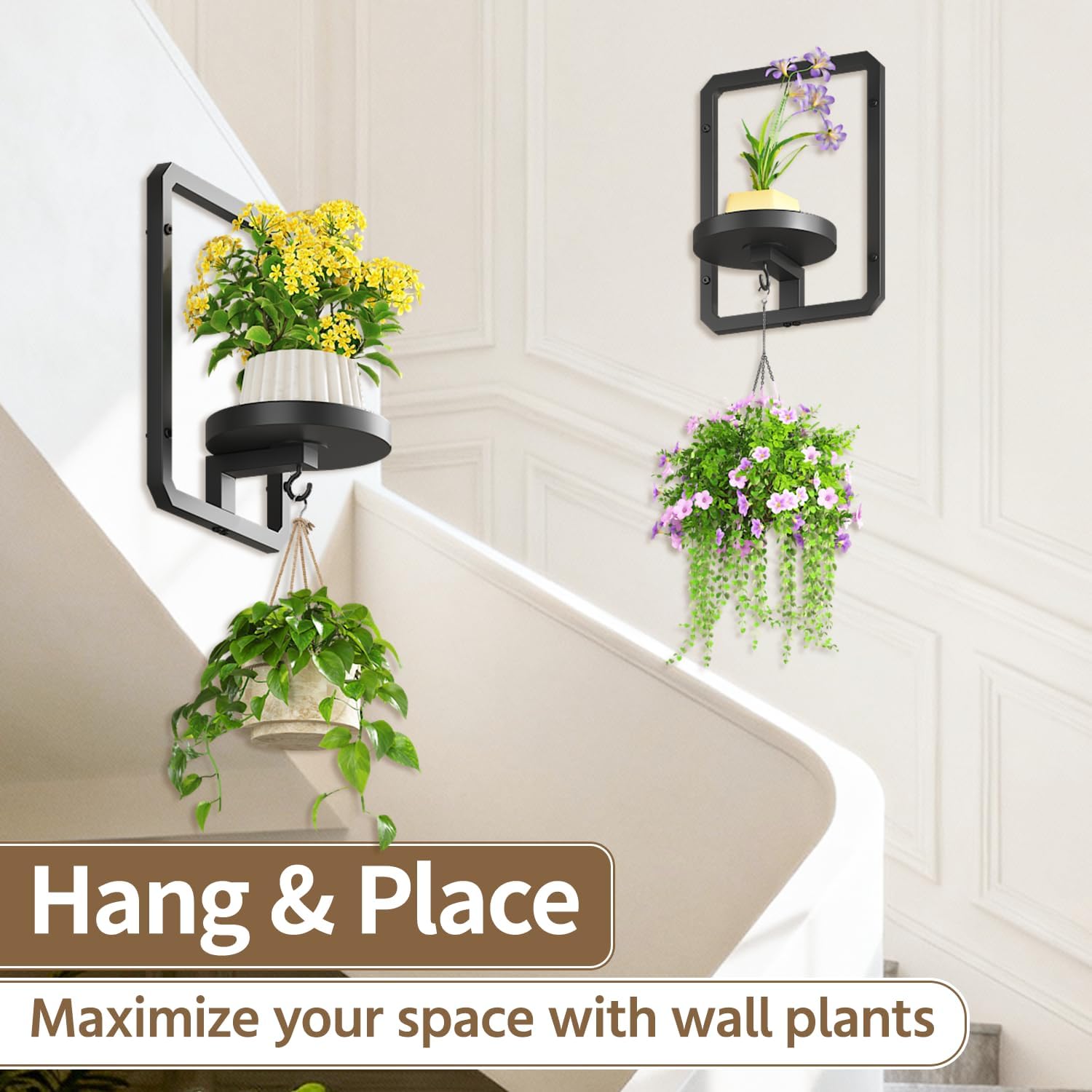 LASZOLA Plant Hangers Holder Wall Mount for Indoor Window, 2 Pack Floating Flower Stand Shelf with Hooks, Metal Picture Frame Hanging Planter Display Decor for Kitchen Bathroom, Black