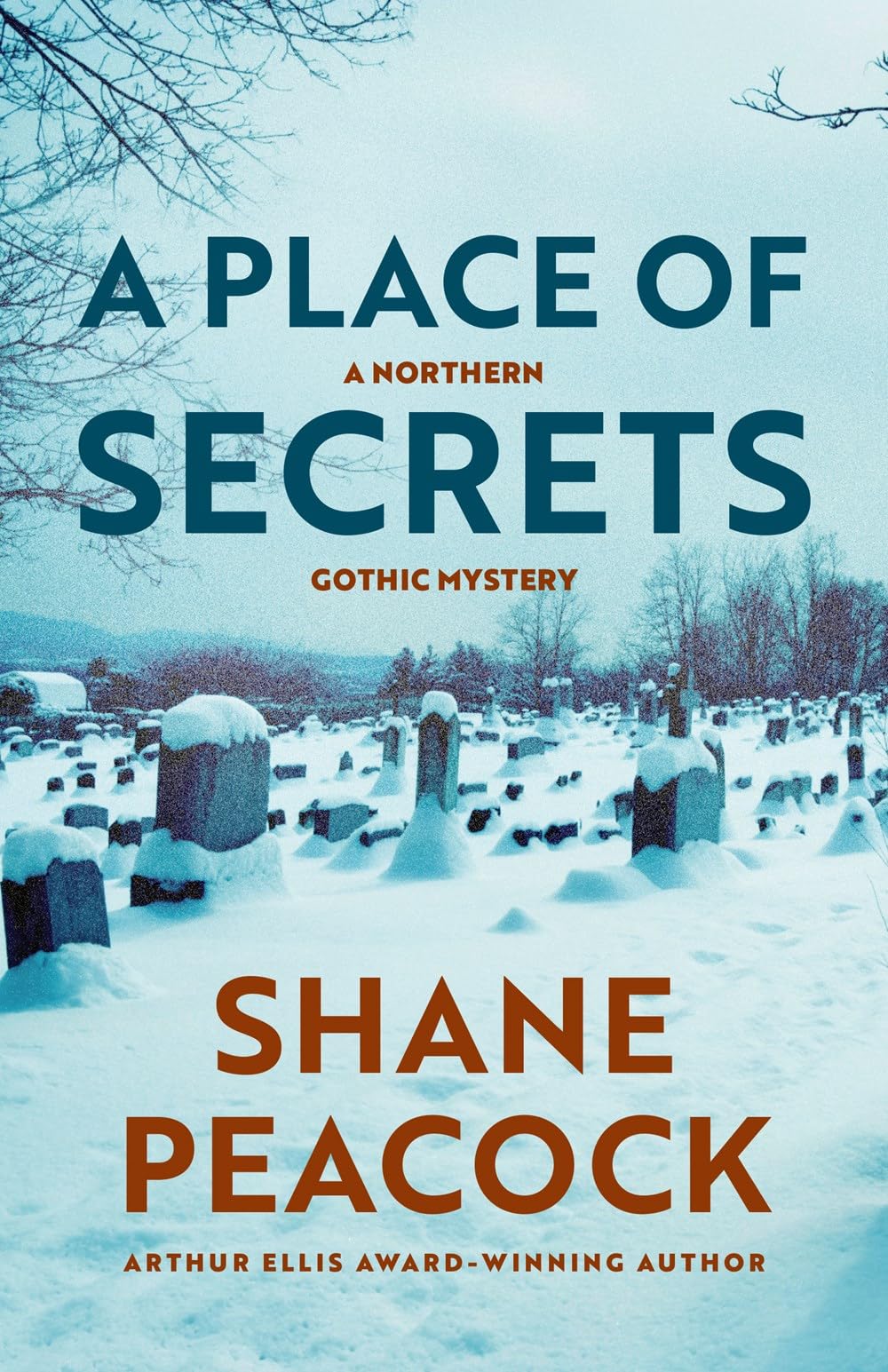 A Place of Secrets (Northern Gothic Mysteries)