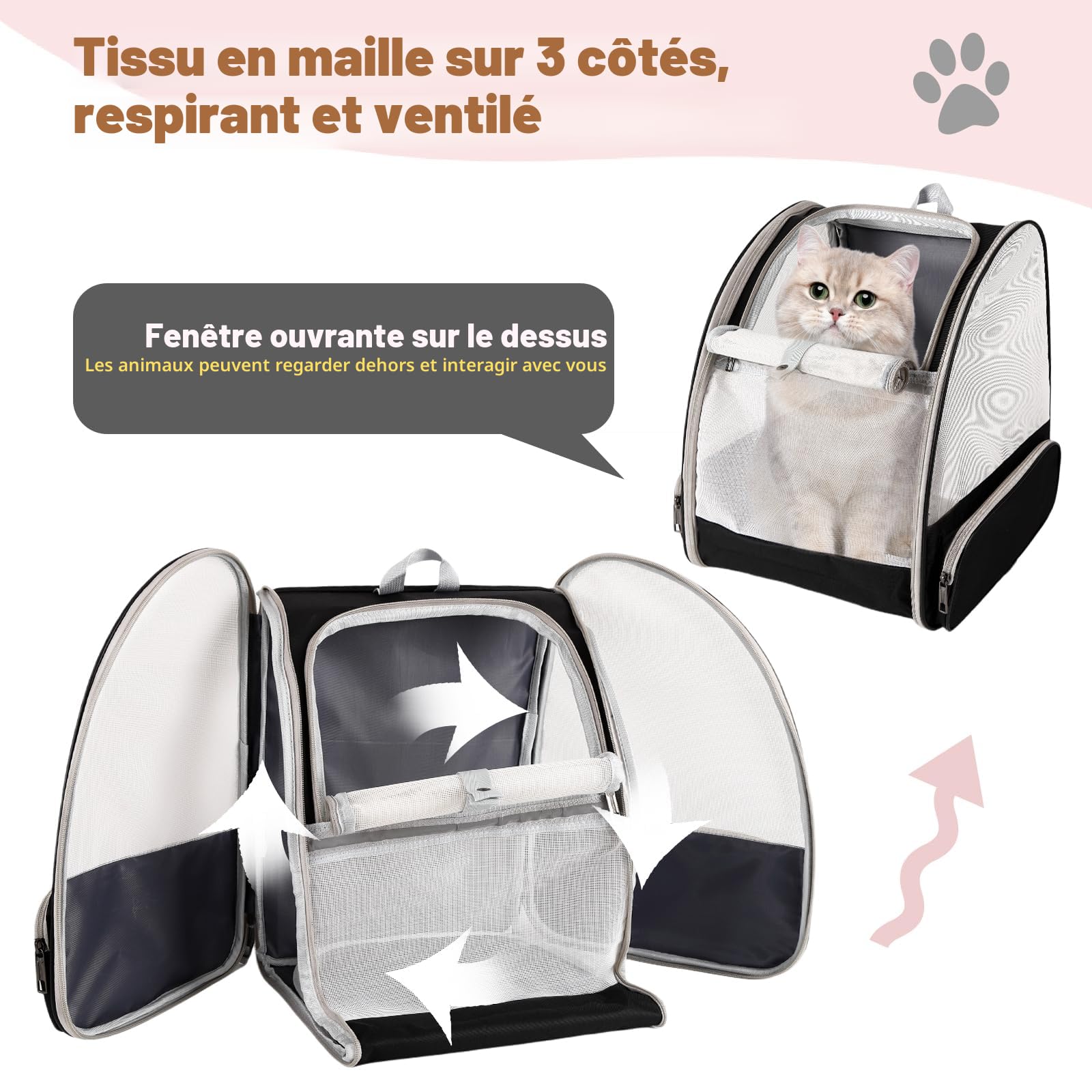 Sac à dos de transport pour chat, sac de transport pour animaux approuvé par les compagnies aériennes pour petit chien, chat, chiot, lapin, design en maille ventilée pour sac de randonnée, camping et