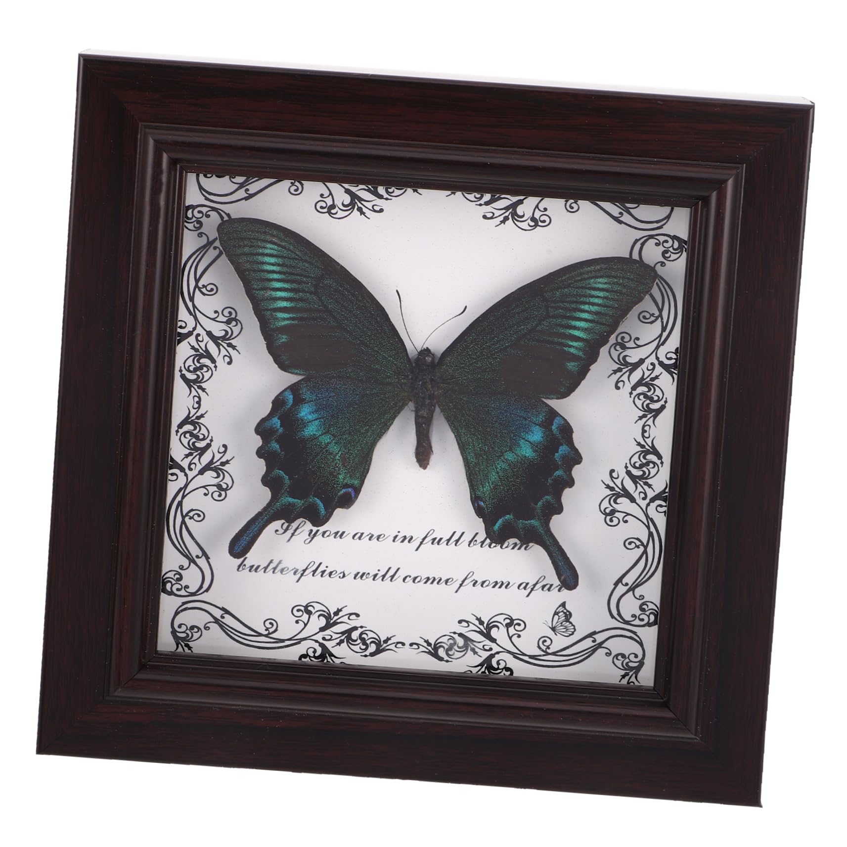 Marco de fotos de madera con mariposa real decorativa estilo retro europeo