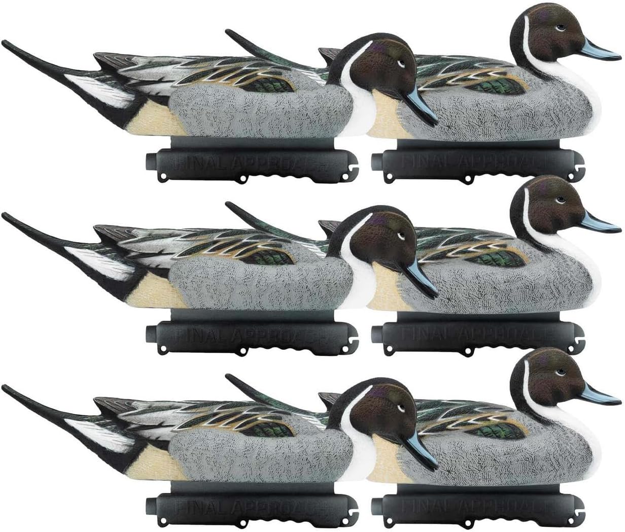 Final Approach Live Pintail Floater Duck Decoys, 6 Pack in Black