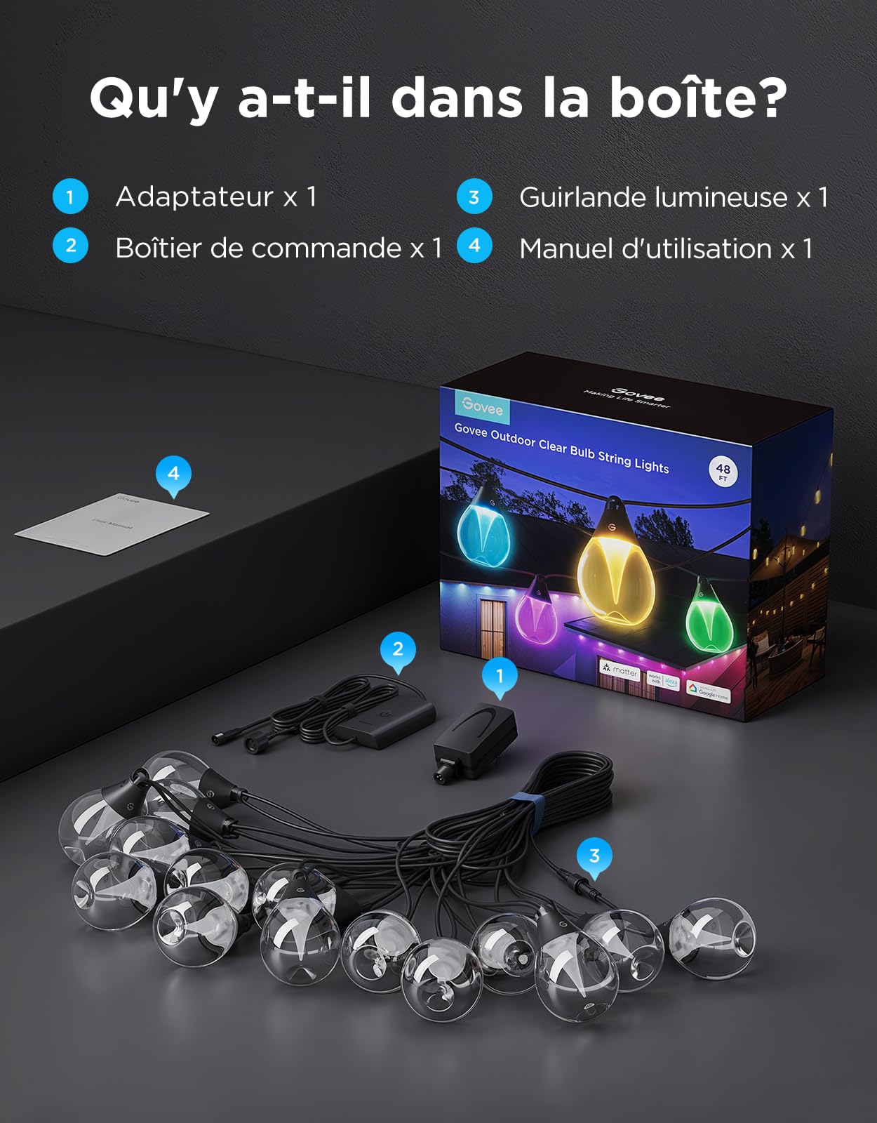 Govee Guirlande Lumineuse d'Extérieur 15m, RGBWIC Intensité Variable, IP67