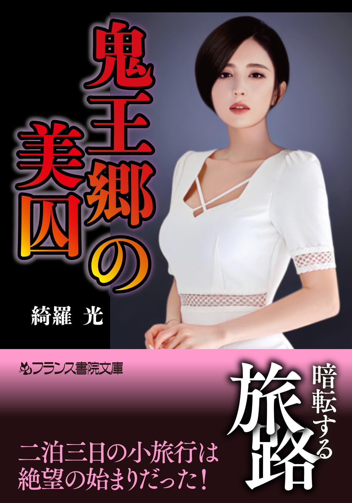 凌辱女子学園 完全決定版 綺羅光 【公式通販】