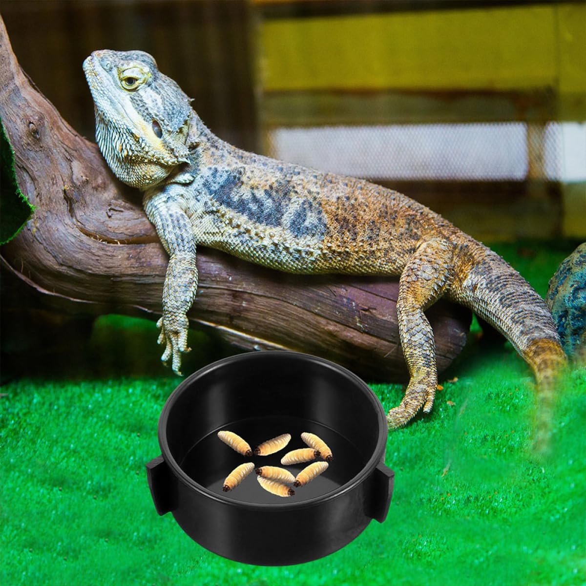 Amosfun 4pcs Ceramic Reptile Food and Terrarium Water Bowls Multi-Function Lizard Feeding Dish for Bearded Dragon and Tortoise