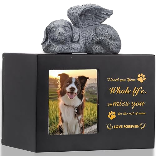 DiDiBirDi Urnas para perros, caja de cremación para mascotas, urna para