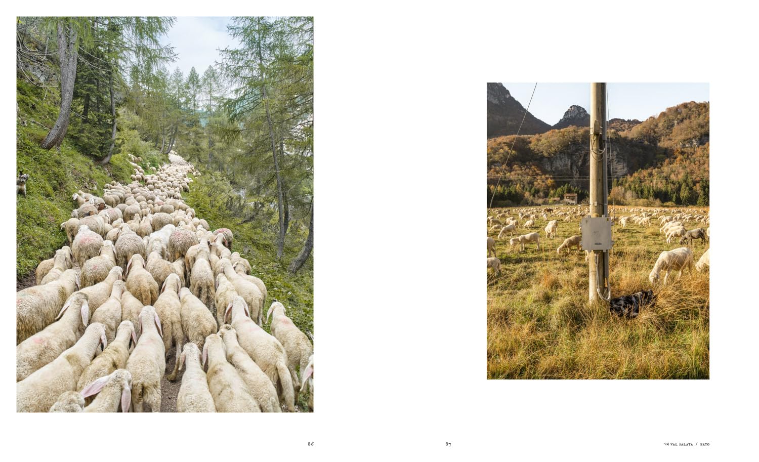 Dolomites. Caring for the environment. Ediz. a colori: A Protected Landscape