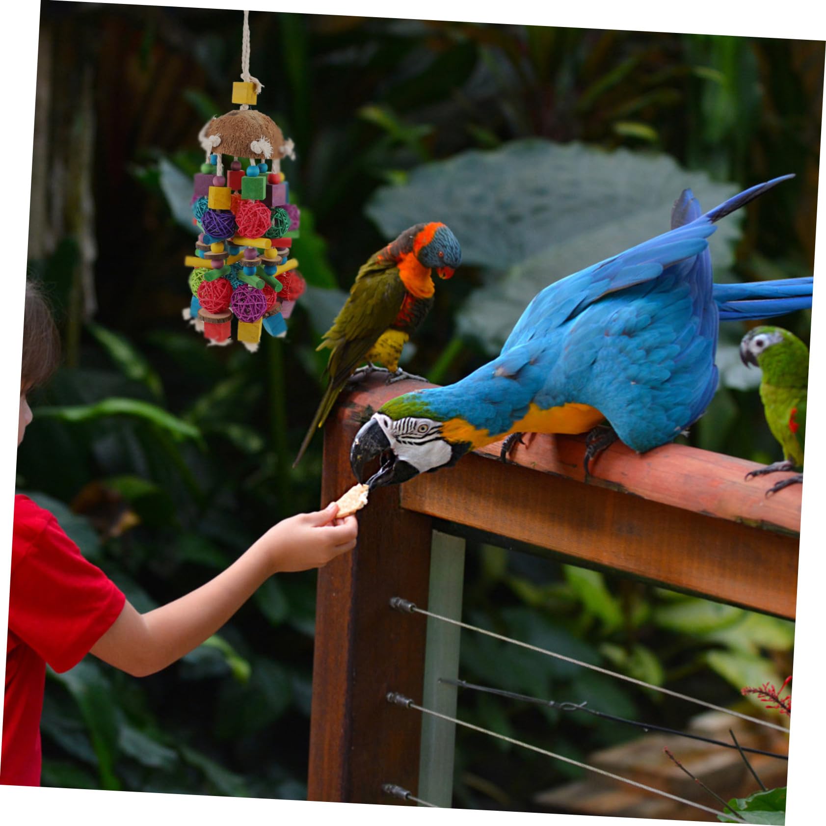 1stücke Papageienspielzeug für Käfigvögel Papageien-unterhaltungsspielzeug Kreatives Vogelspielzeug Papageien-kauspielzeug zur Schnabelpflege Lustiges Haustier-vogelspielzeug