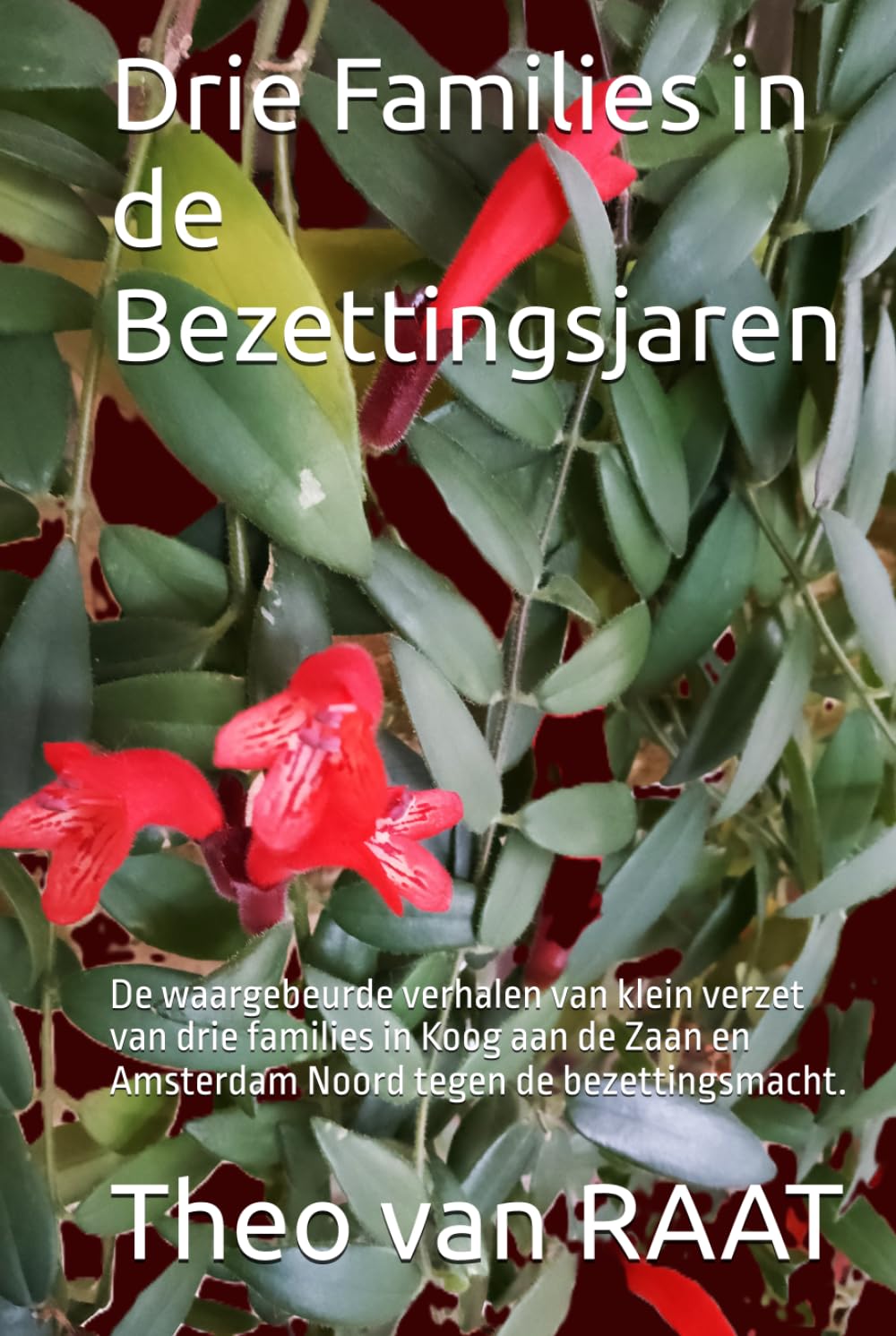 Drie Families in de Bezettingsjaren: De waargebeurde verhalen van klein verzet van drie families in Koog aan de Zaan en Amsterdam tegen de bezettingsmacht.