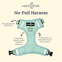 Vista 37 de Lucy & Co. Arnés para perro Midnight No-Pull – Talla M – Chaleco para dejar de tirar y caminar fácil – Cómodo producto de entrenamiento de correa