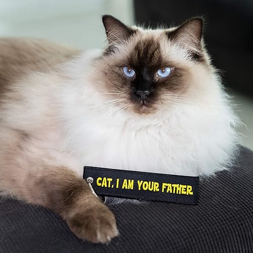 Miniatura 2 de Moto Loot Llavero de gato para llaves de coche, llaves de casa, amantes de las mascotas y regalos