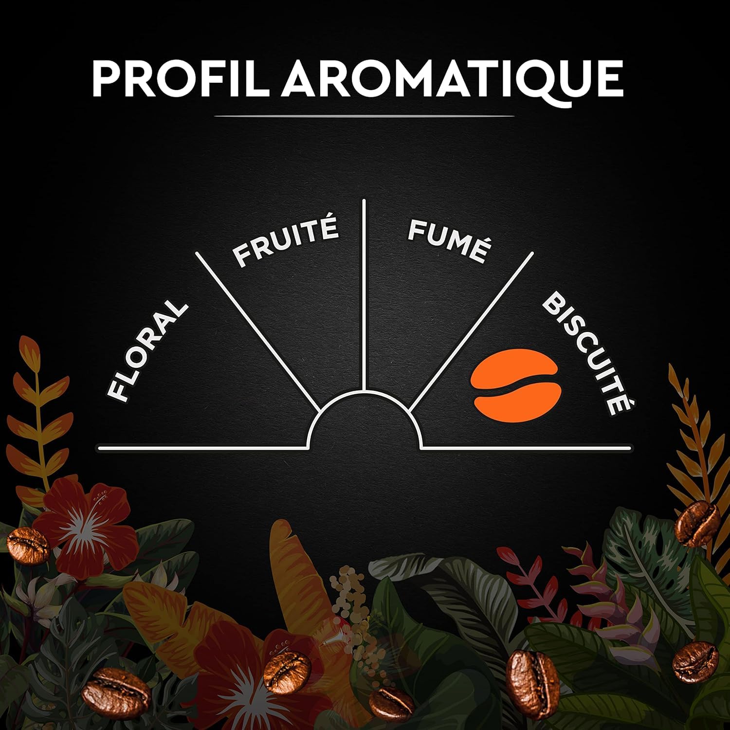 CARTE NOIRE - Café Grain Carte Noire Secrets de Nature - Catuai Romex - Certifié Rainforest Alliance - Paquet de 2 kg