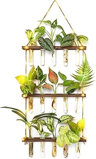 Mkono Plant Propagation Stations with Light 3 Tiered Wooden Wall Hanging Terrarium Test Tube Flower Vase Glass Planter Holder for Hydroponic Cutting Home Garden Office Decor Plant Lover Gift