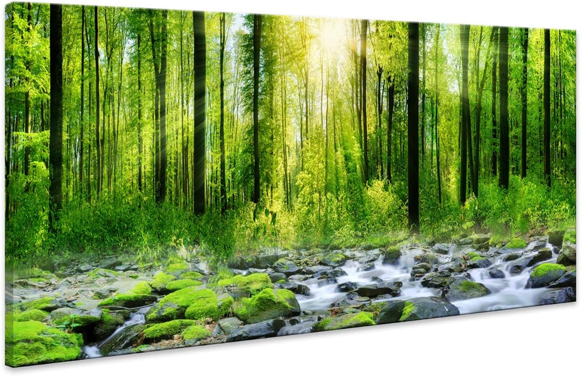 Tucai DecorCanvas Art Morning Sunrise Green Trees Landscape Sunshine Over Forest Photograph Printed on Canvas for Home Wall ation Wall Art for Living Room Mural Print Artwork Natural Outdoor Picture