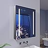 Amazon.com: GANPE LED Lighted Bathroom Medicine Mirror Cabinet with ...