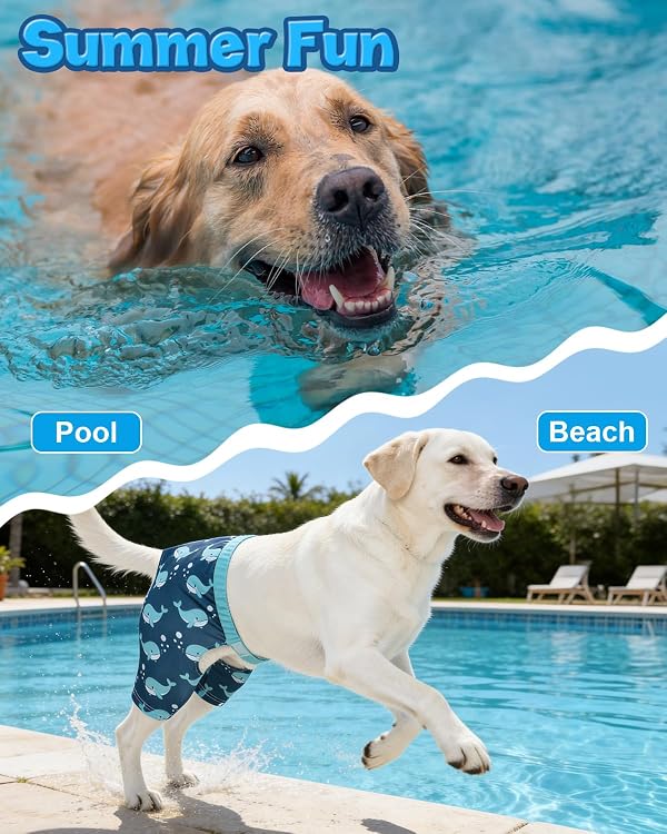 CuteBone Dog Swim Trunks Swimsuit Durable & Comfortable - Quick-Dry, Adjustable Waistband Shorts, UV Protection Bikini- Perfect for Beach, Pool & Outdoor Fun, Dinos DST15S by CuteBone - Image 4