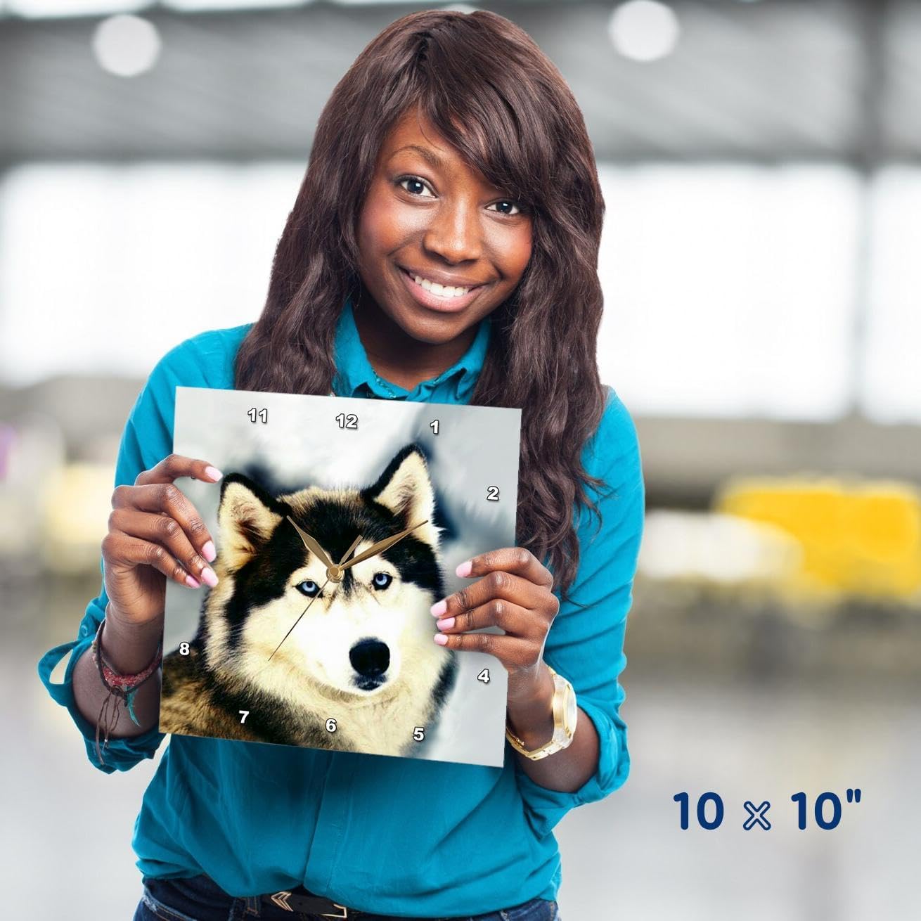 3dRose Staring Siberian Husky - Wall Clock, 10 by 10-inch (DPP_517_1)