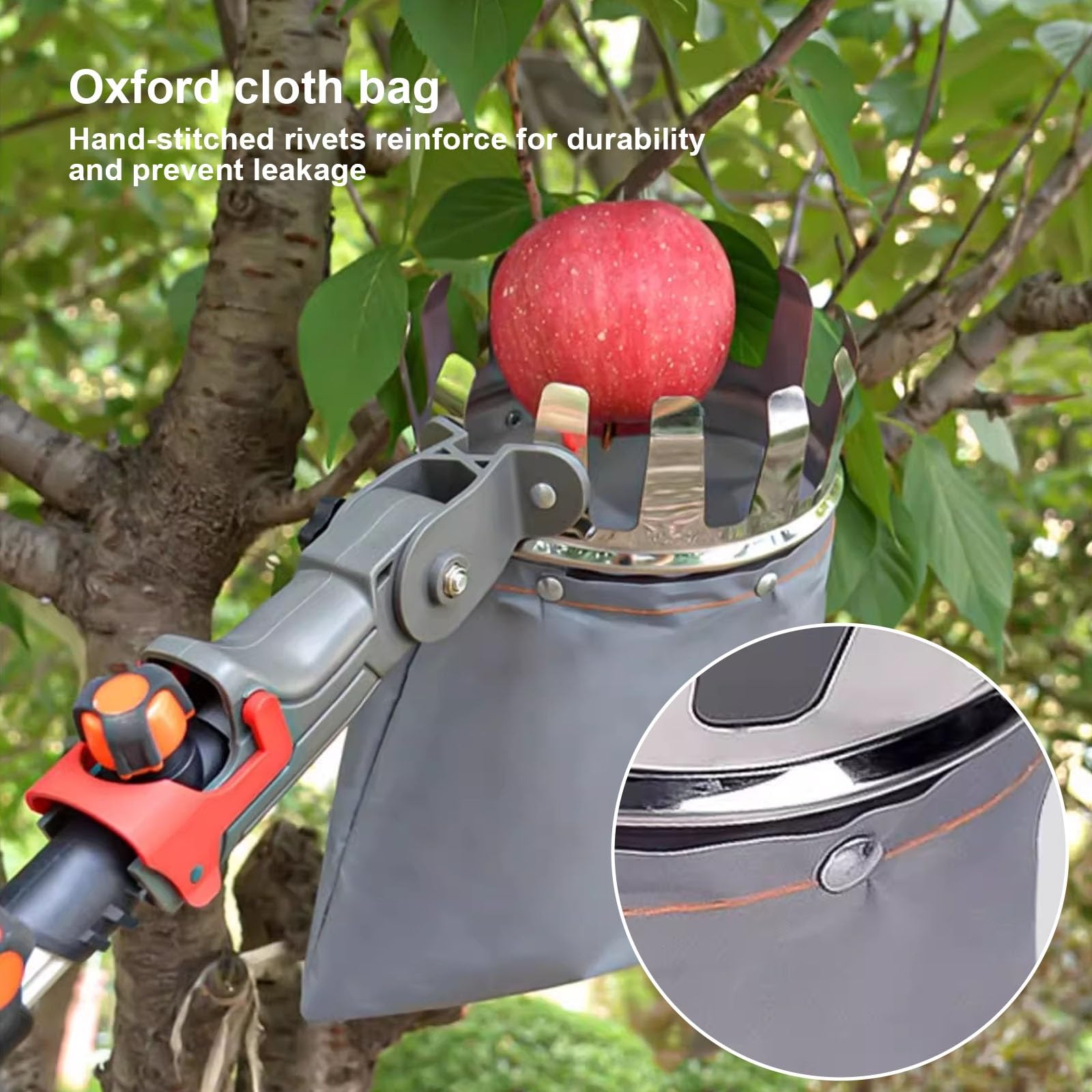 Raccogli Frutta Telescopico con Cestello, Raccogli Frutta da Albero Frutteti, Serre, Avocado, Arance, Mango e Albicocche