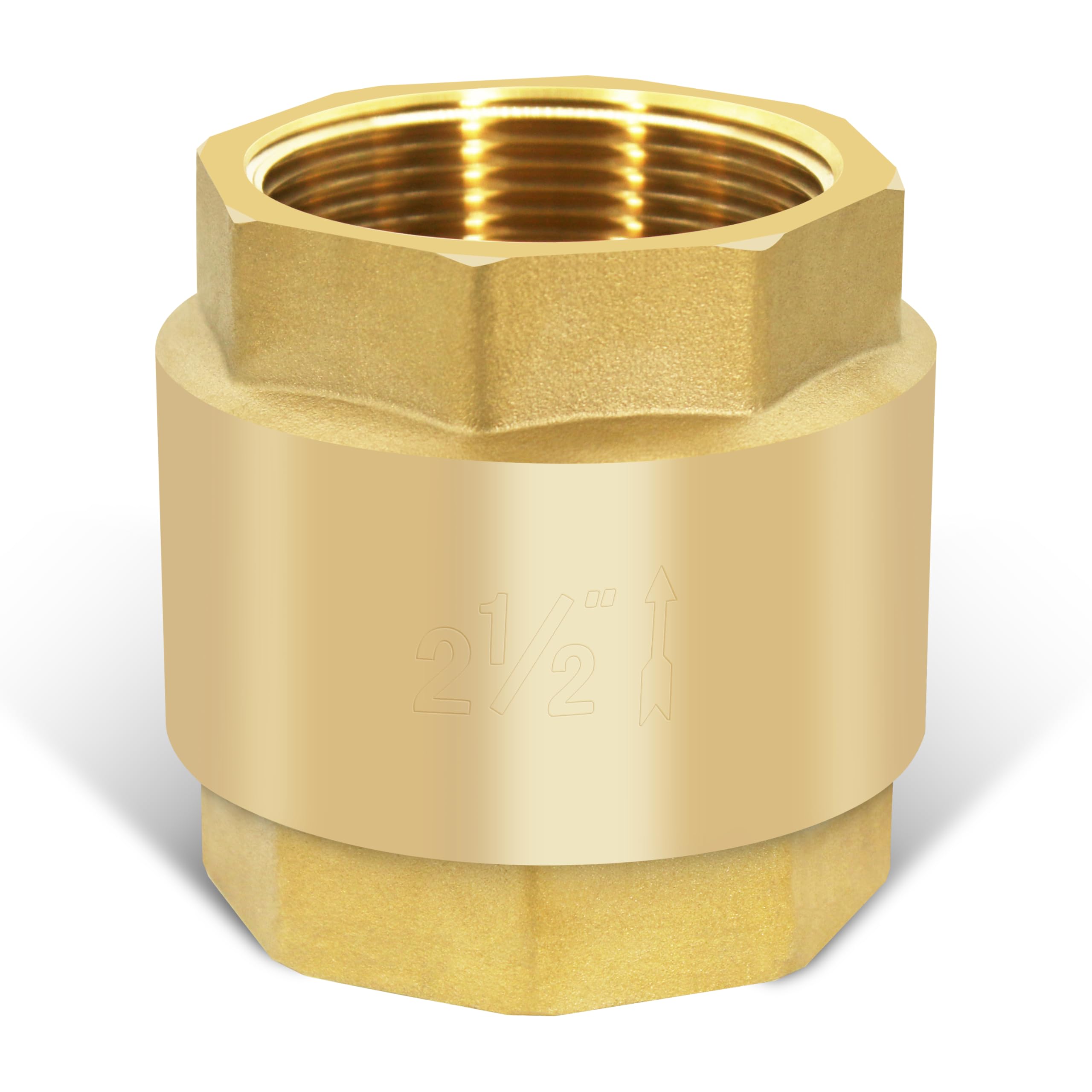 Valvola di ritegno verticale in ottone NPT da 2-1/2", valvola di ritegno verticale a molla in linea senza piombo con filettatura NPT, valvola di controflusso unidirezionale di non ritorno per
