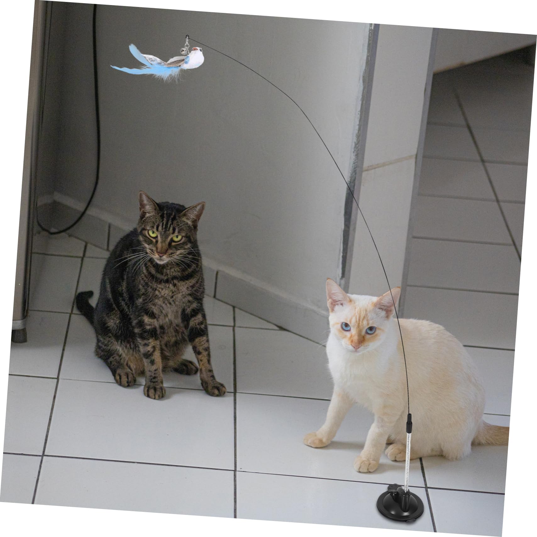 YARNOW 2 Set Bastoncino Per Gatti a Ventosa Giocattoli Per Animali Domestici Per Gatti Giocattoli Interattivi Per Per Indoor Roba Da Filo Di Acciaio