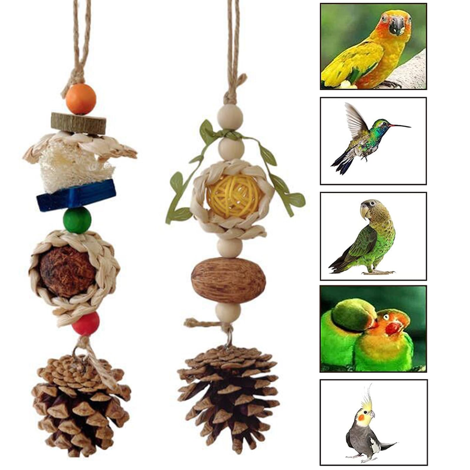 5 Pz Pappagalli per Uccelli, Giocattolo da Masticare per Pappagallo, Giocattolo per Pappagalli da Masticare per Cockatiels, Pappagallini e Uccelli Adorabili