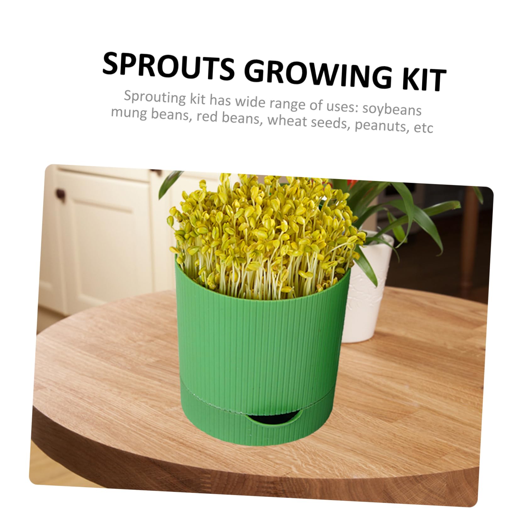POPETPOP Kit de Germination pour Haricots Mungo et Soja, Bocal à Germes Vert Réutilisable en PP Sortie D’Eau, pour Maison ou Restaurant
