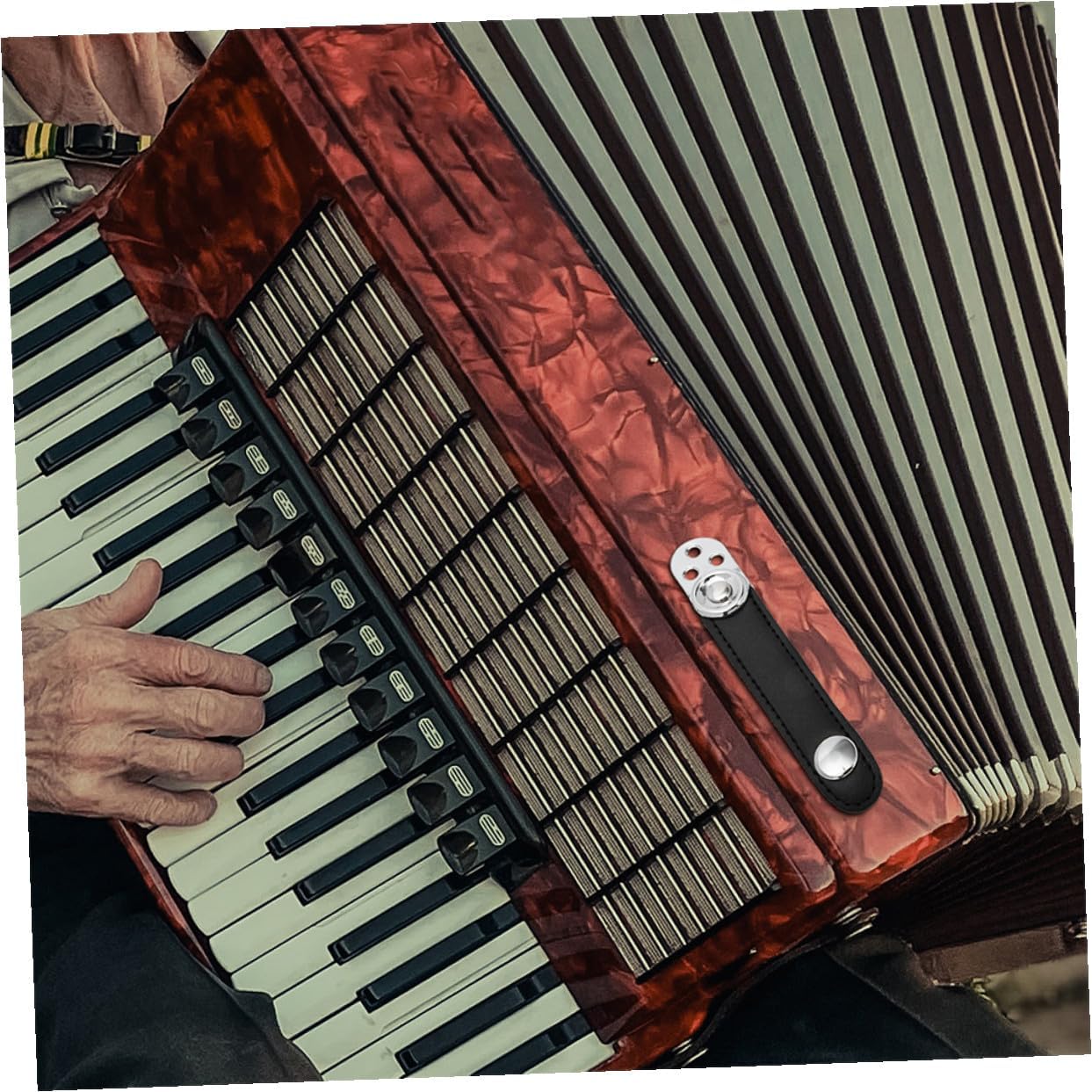 Accordion Bellows Buckle Straps 2 Sets for Teaching Performance
