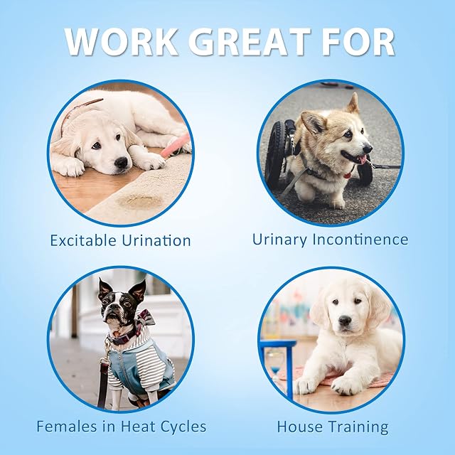 Foto 7 de 7 de Pet Soft Pañales Desechables para Perros machos, pañales para Cachorros, 48 Unidades, M, Paquete de 1