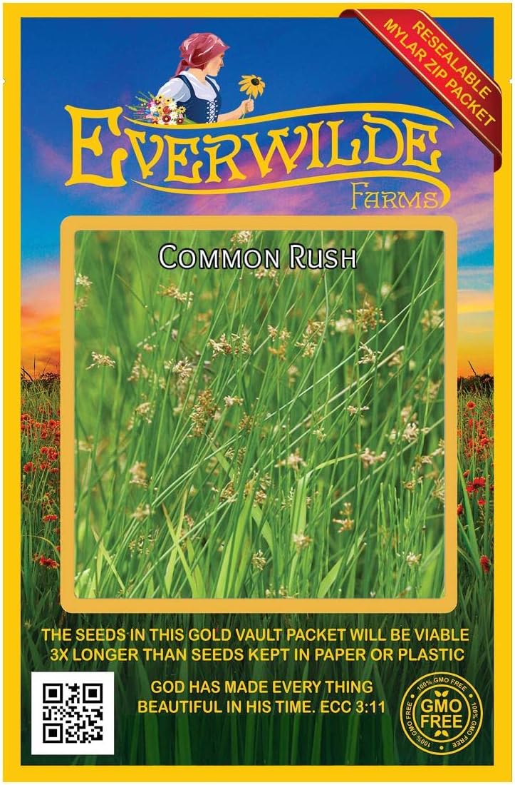 Everwilde Farms - 1/4 Lb Common Rush Native Grass Seeds - Gold Vault