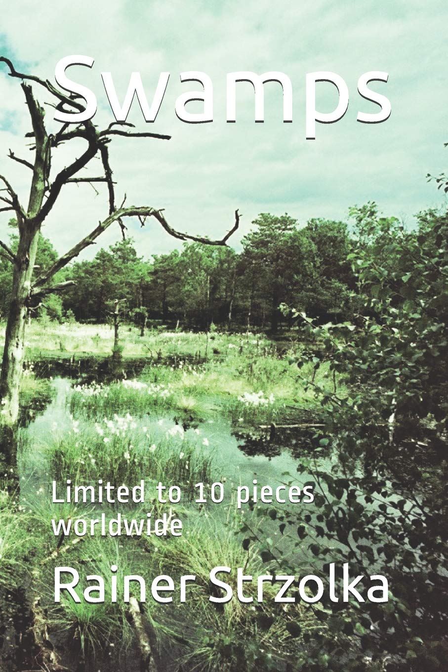 Swamps: Limited to 10 pieces worldwide