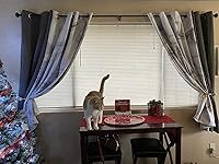 Review Image by Michelle Murray Michelle Murray