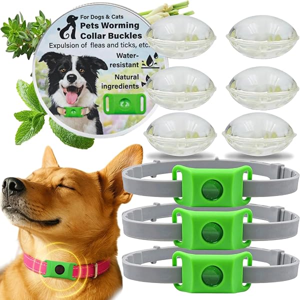 Collier Antiparasitaire Chien Naturel, Pendentif aux Huiles Essentielles avec 2 Capsules Remplaçables, Réglable, Diffusion sans Contact Peau,Compatible AirTag (3-boîte) - 1