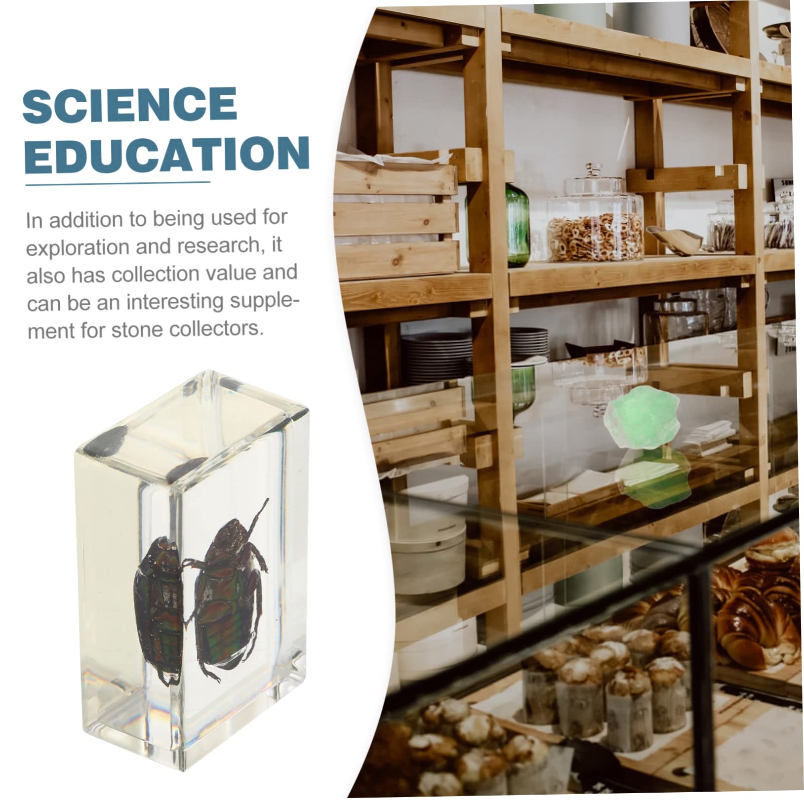 BELLIFFY 1 PC Insect Specimen Attractive Amber Samples Amber Pendant Science Education Toys Amber Scorpion Specimen Insect Samples Creative Amber Specimens Amber Resin