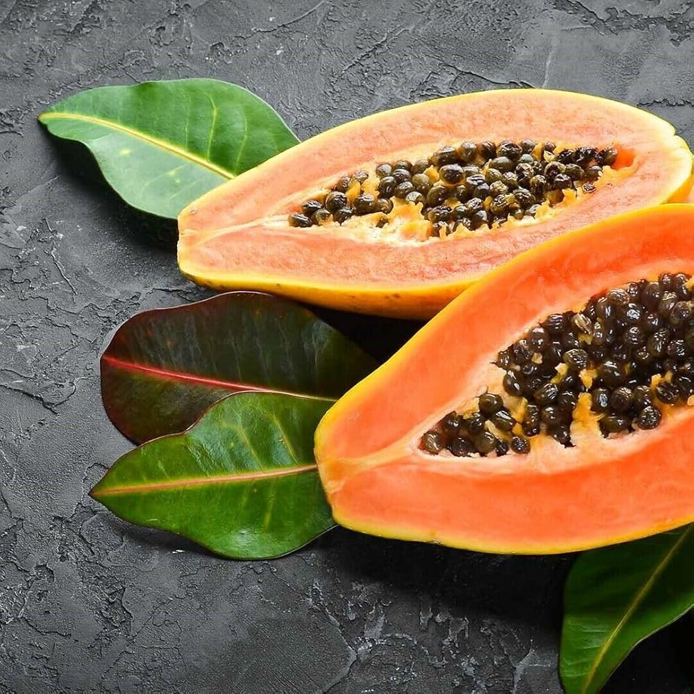 パパイヤ種子（タネ）　品種名　リオグランデ　10g（約650粒） Amazon.co.jp: パパイヤ種子（タネ） 品種名リオグランデ 10粒入り