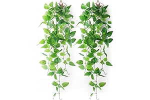 Mocoosy 2 Pack Fake Hanging Plants with Baskets: Lifelike Greenery for Home Decor