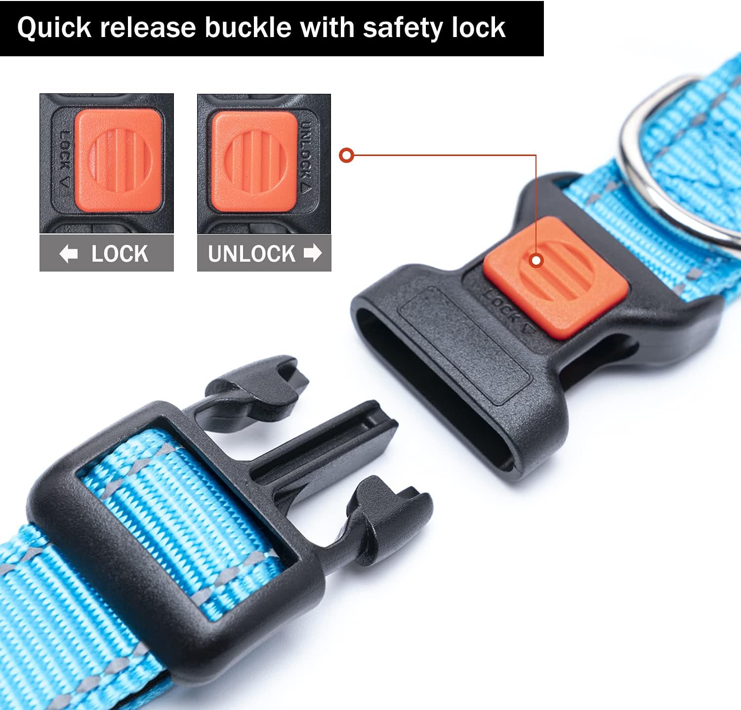 Reflective Dog Collar with Buckle Adjustable Safety Nylon Collars for Small Medium Large Dogs, Blue S : Pet Supplies