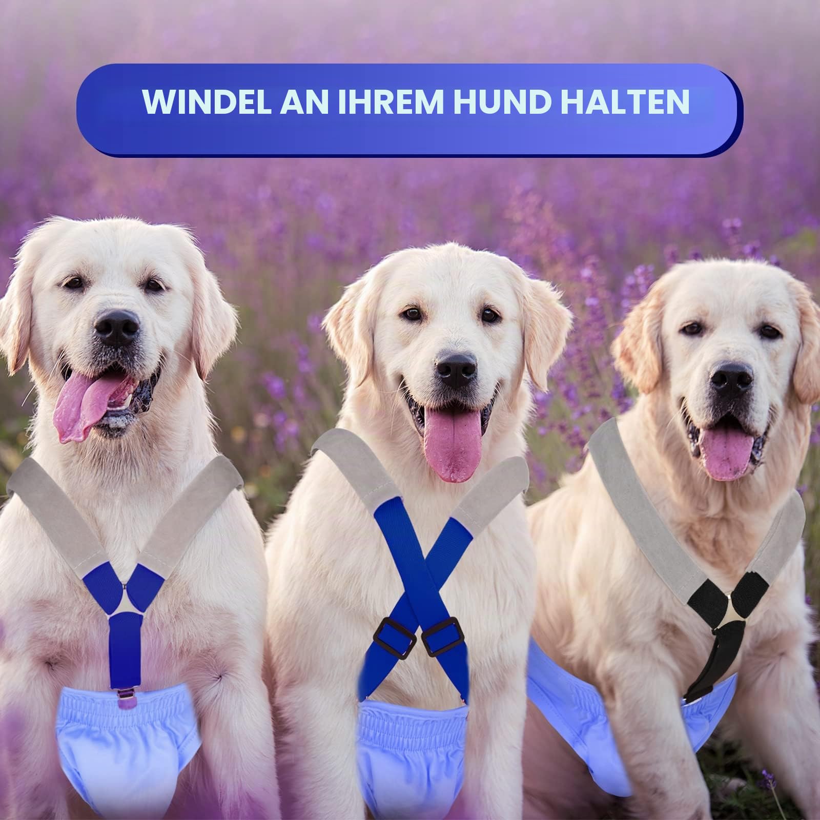 Saintrygo Hunde-Hosenträger für Windeln, für Hündinnen und Rüden, Hundegeschirr, hält Windel an deinem Haustier, für kleine, mittelgroße und große Hunde, 2 Stück, schwarz und blau, Größe M