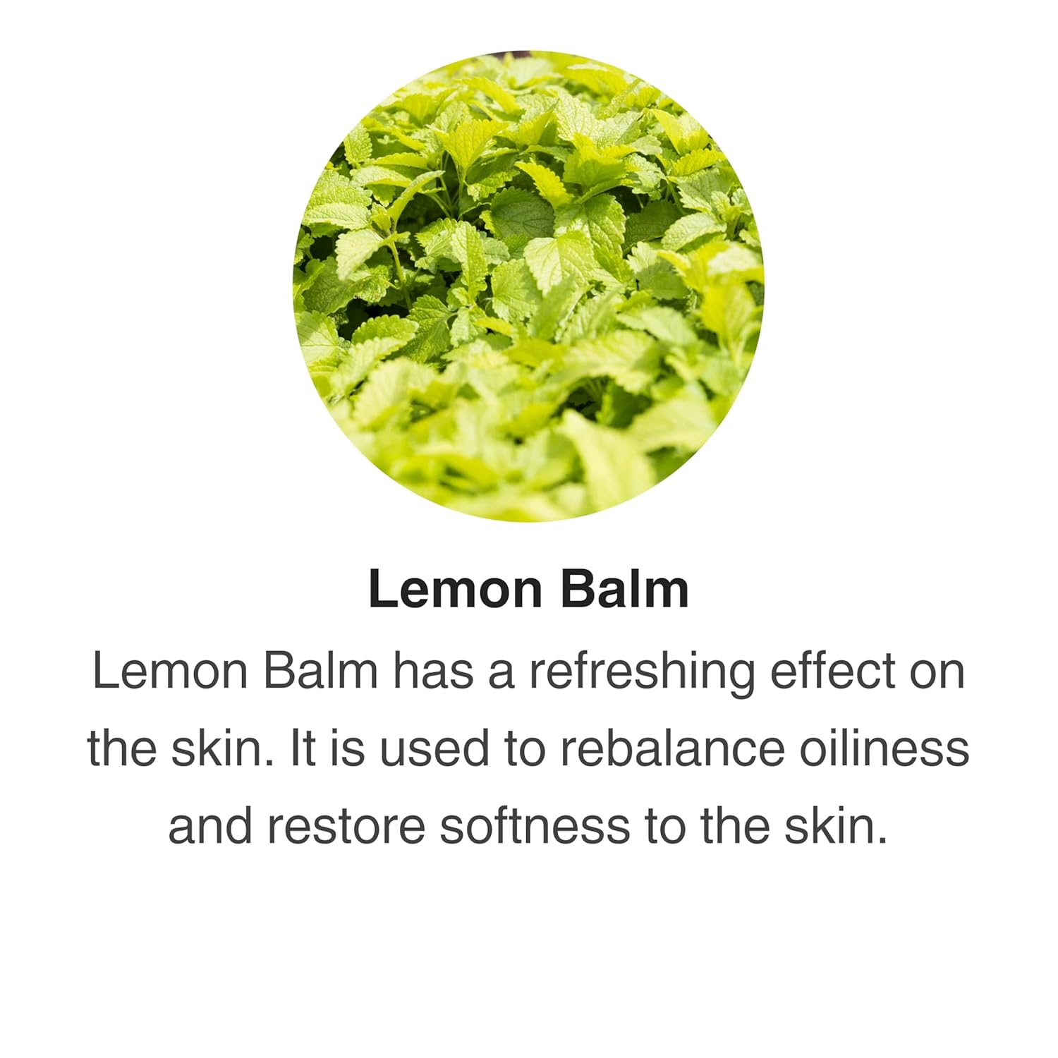 Jurlique - Comforting Body Lotion Lavender - Image 2