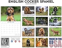 Vista 180 de Razas de Perros 2017