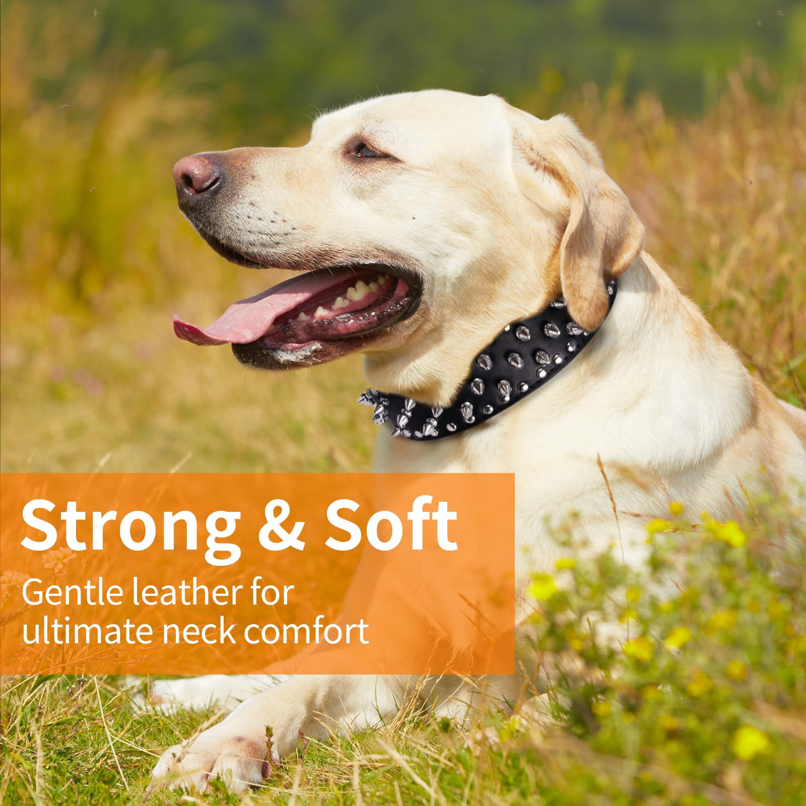 Dog Collars for Medium Dogs with Leash, Epesiri Spiked Dog Collar for Large Dogs, Dog Collar, Studded Rivet Pit Bull Leather Dog Collar Durable Cat Collar for Small Medium Large Pet Gift