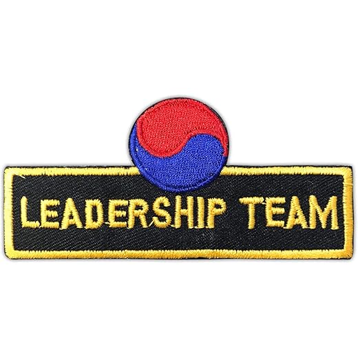 AAMA Taekwondo Karate Iron On Patch - 1 pc