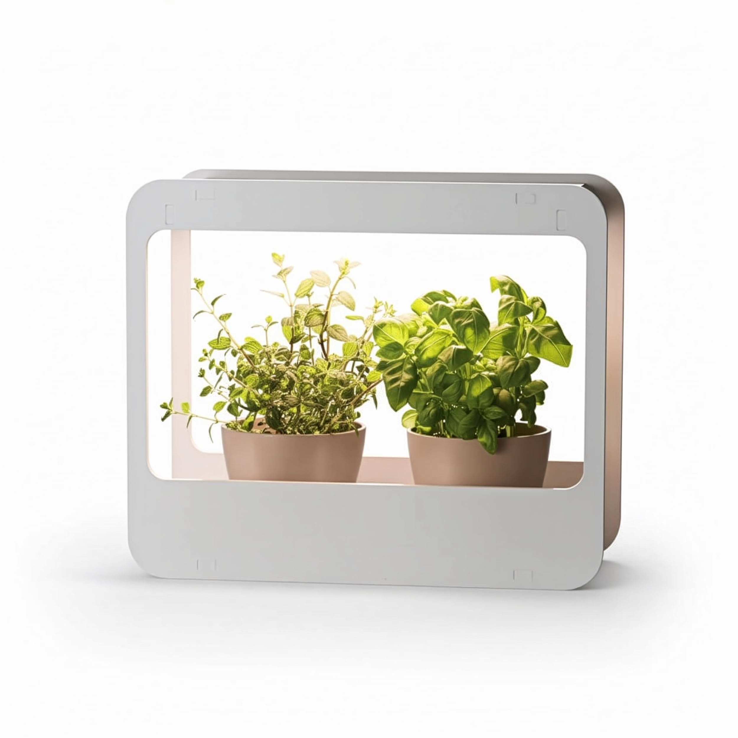 Romberg Homegarden Mini Serre d'intérieur avec éclairage LED Blanc 50,5 x 21 x 40 cm