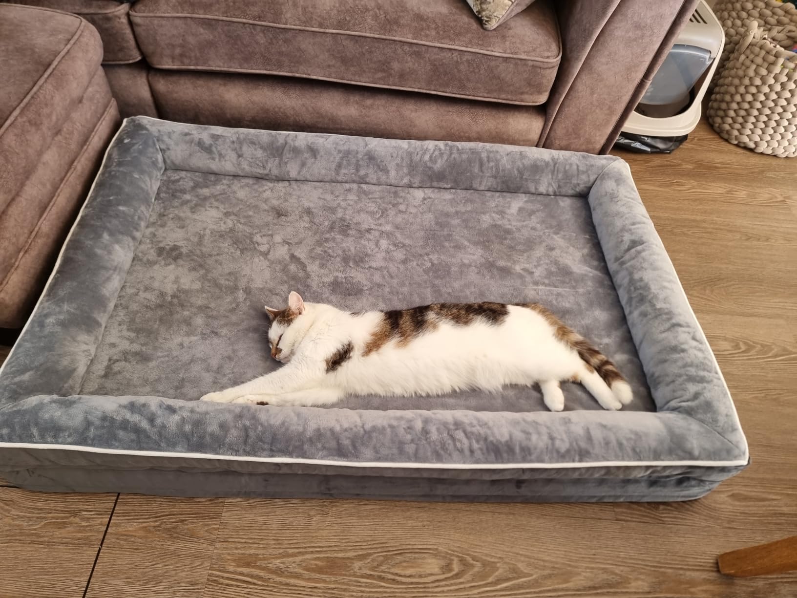 Customer photo