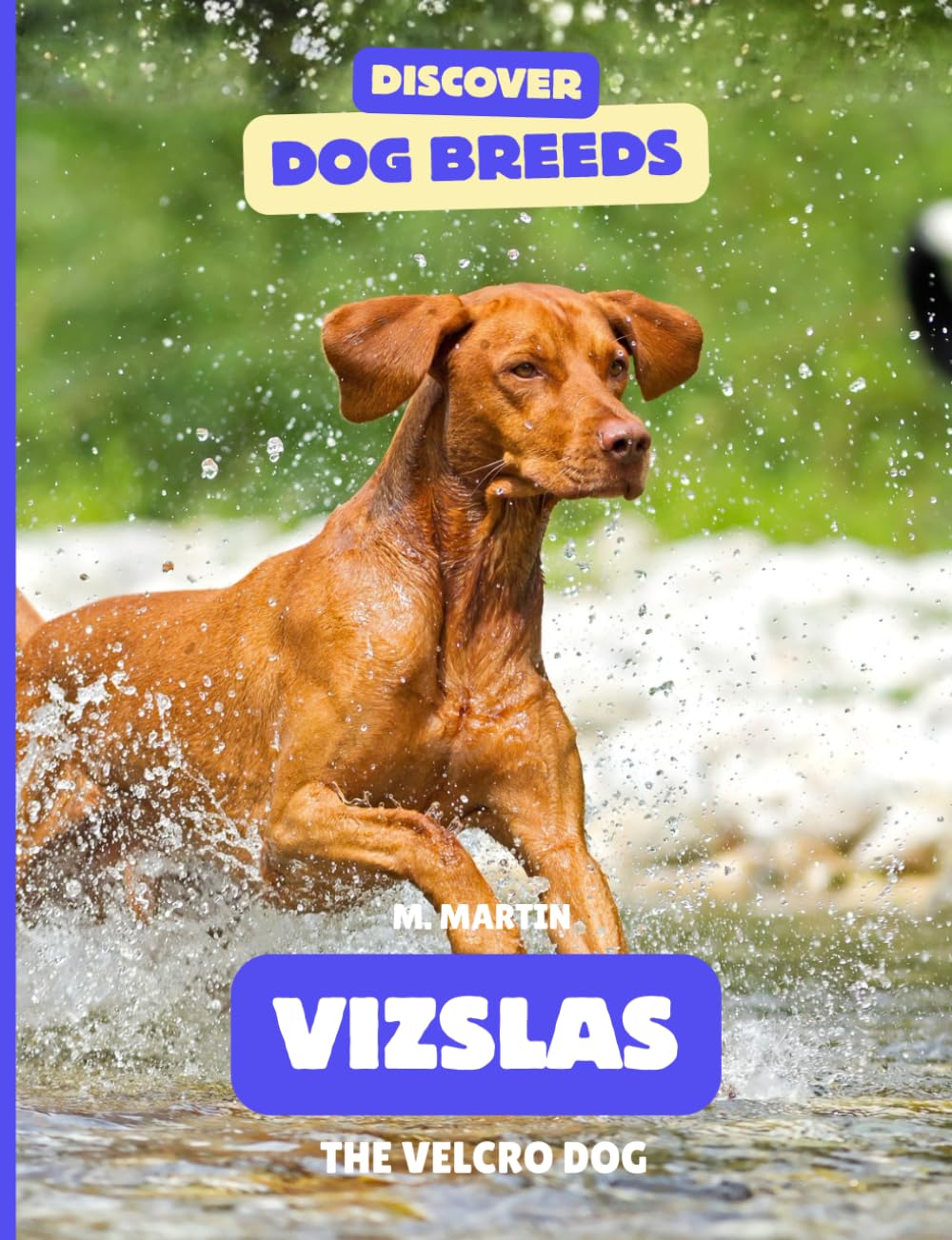 Vizslas: The Velcro Dog (Discover Dog Breeds)