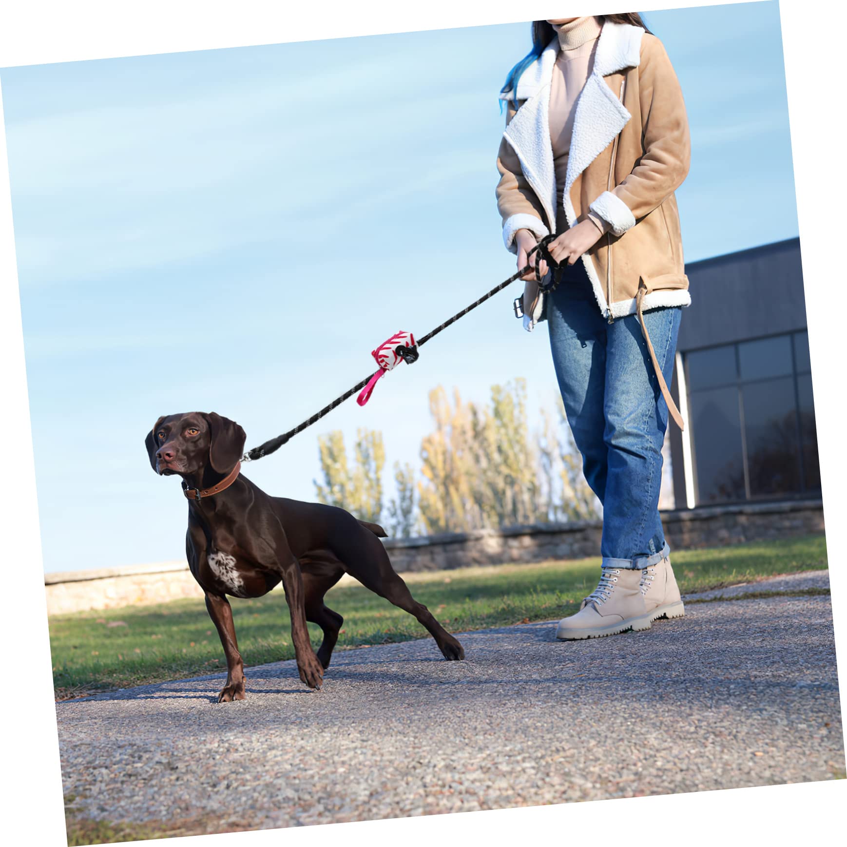 1satz Hunde Mit Kotbeuteln Und Spender Zubehör Für Hundebesitzer Nylonleine Kotbeutel Leicht Und Tragbar Für Ausflüge Mit Ihrem