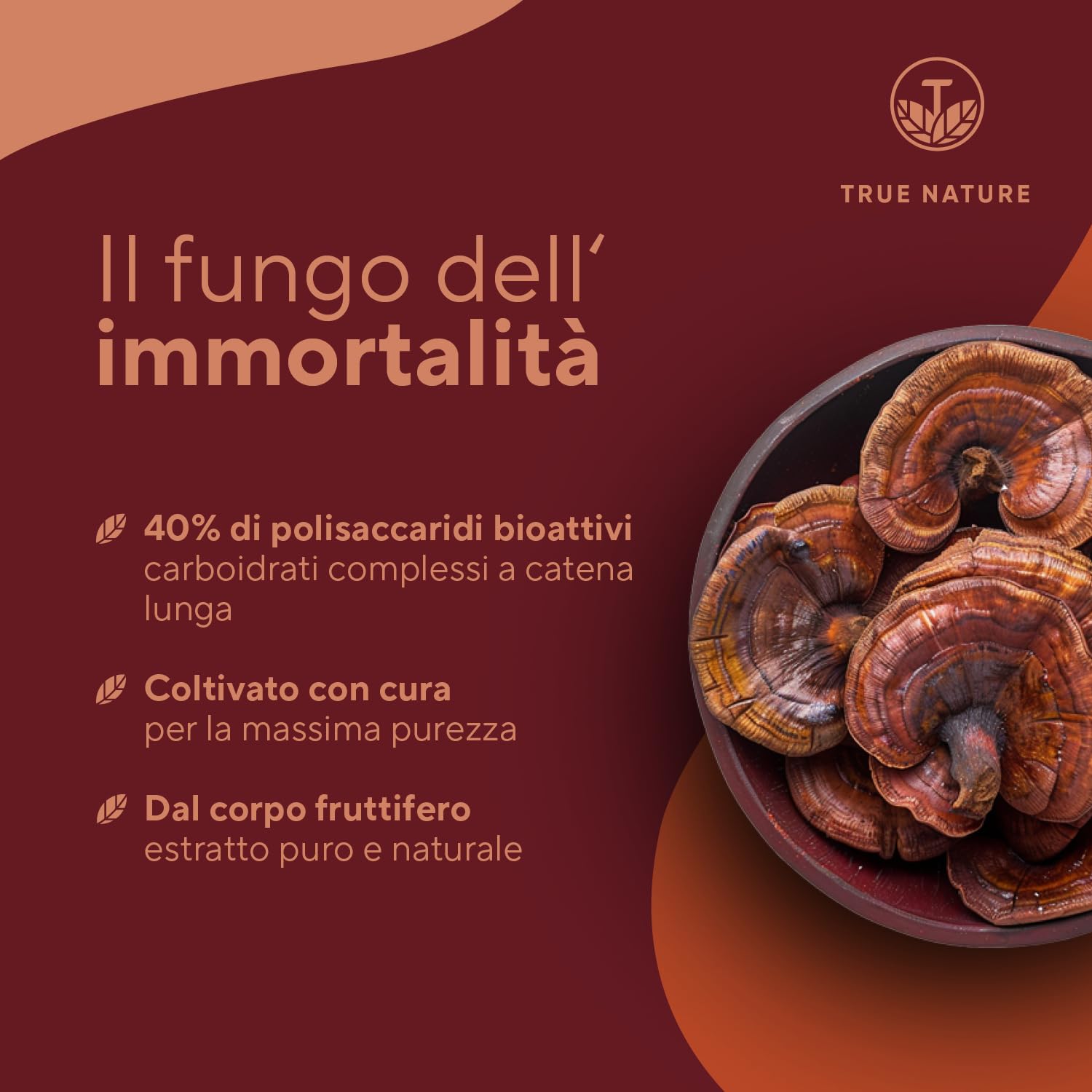 Reishi - 270 Capsule (Big Pack) - 20.100mg al giorno - Alto dosaggio - 40% di polisaccaridi bioattivi - Ganoderma Lucidum puro - fungo cinese Reishi - Vegano, testato in laboratorio - TRUE NATURE